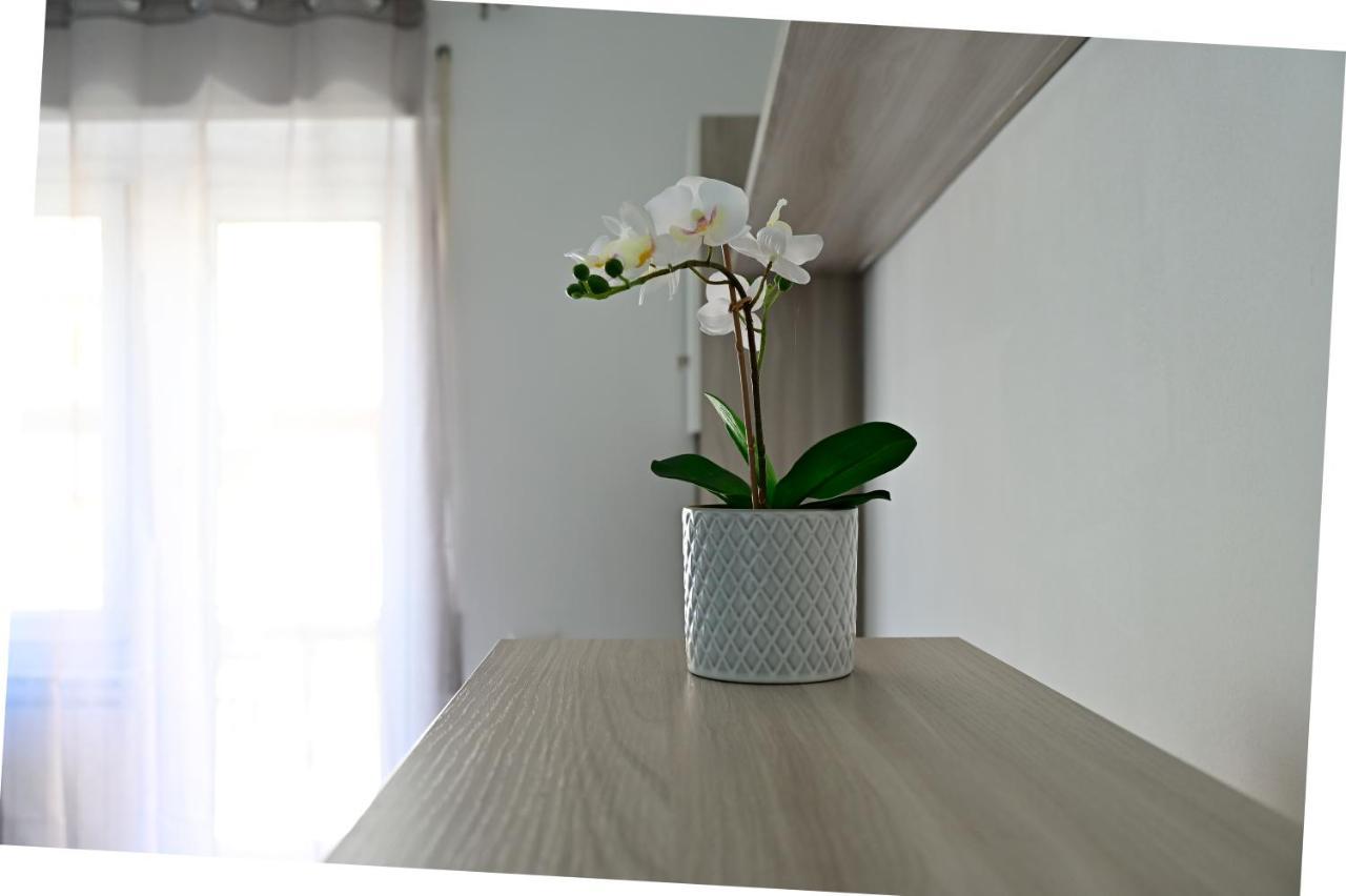 Casa Stefy Apartment ลิโด ดิ ออสเตีย ภายนอก รูปภาพ